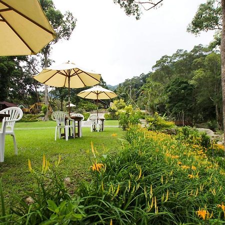 Hemerocallis Country House Nanzhuang Extérieur photo